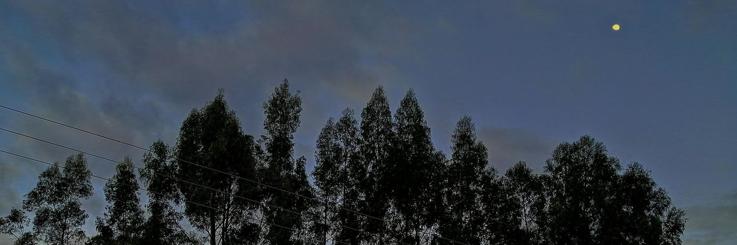 _angienathaly's profile banner image