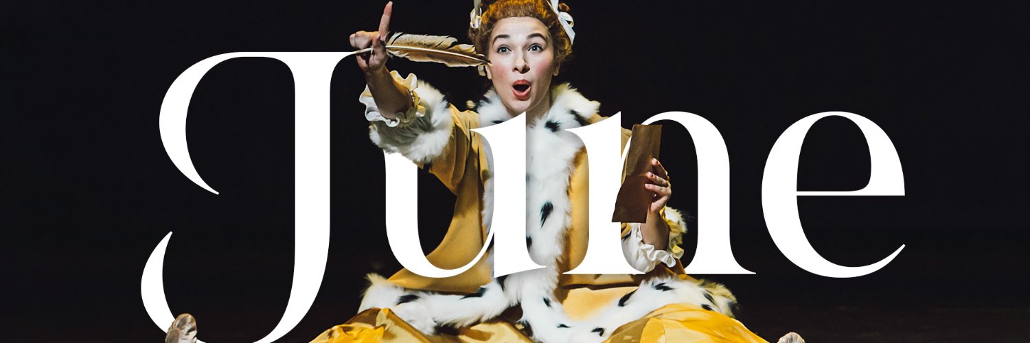 OperaVision's banner