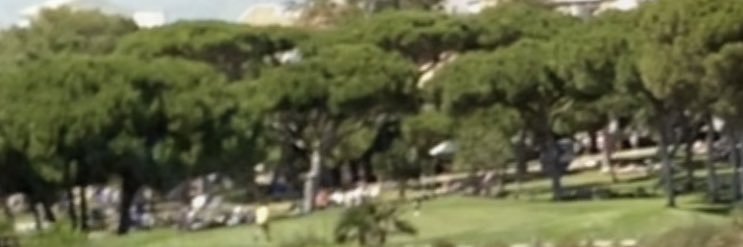 Bruno Almeida banner