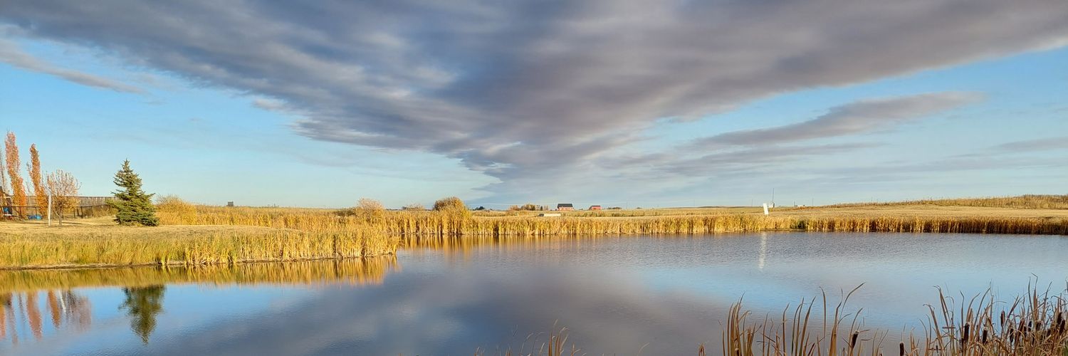 KellySikstrom's profile banner image