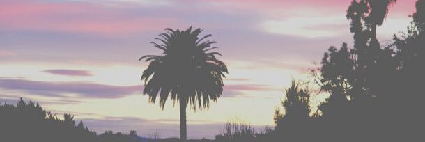 PerryVincent_'s profile banner image