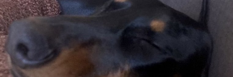 chirisolorzano's profile banner image