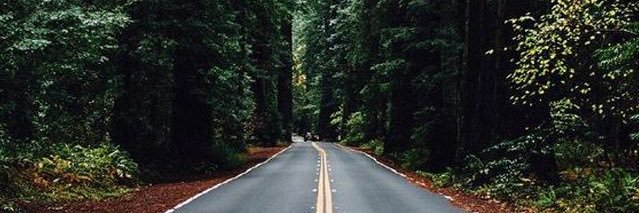 Will D. M. Major banner