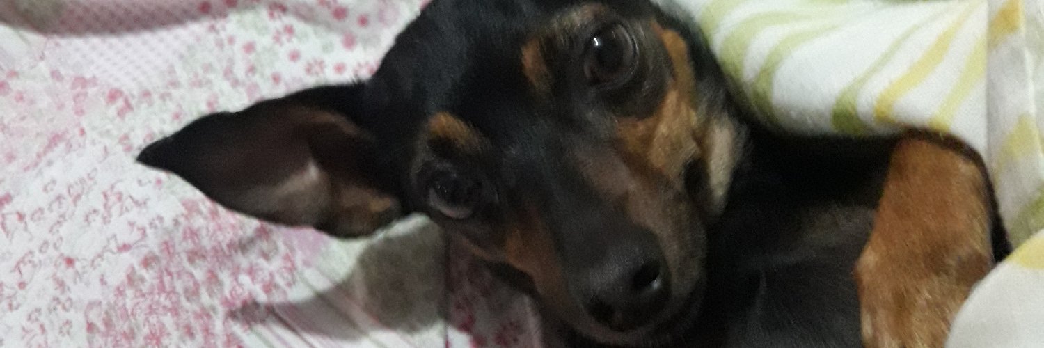 Pedrita72's profile banner image