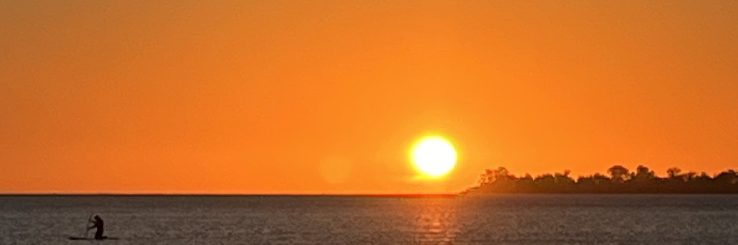 PichonCioli's profile banner image