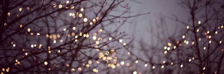 Megan banner