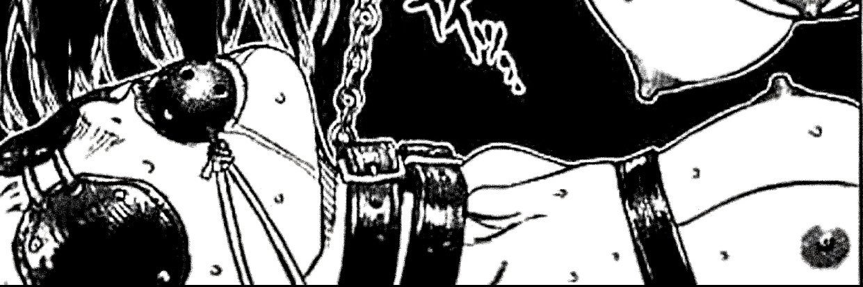 karasu_senpai's profile banner image