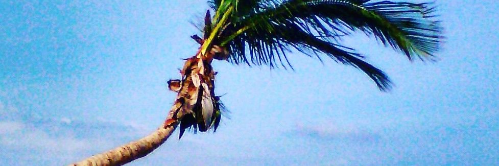 Gags827's profile banner image