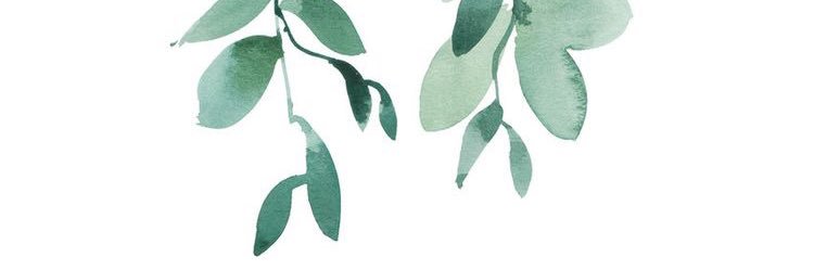 kathy_katica's profile banner image