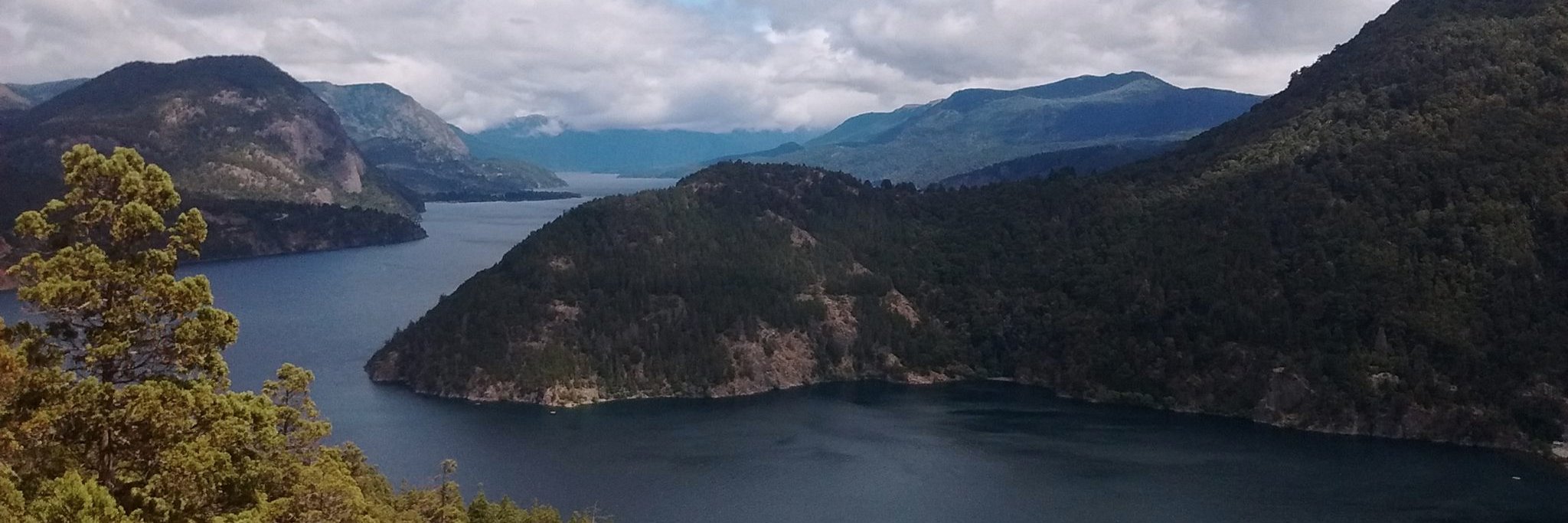 Debora Staiff banner