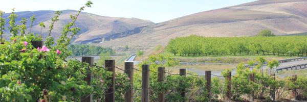 TreveriCellars Profile Banner