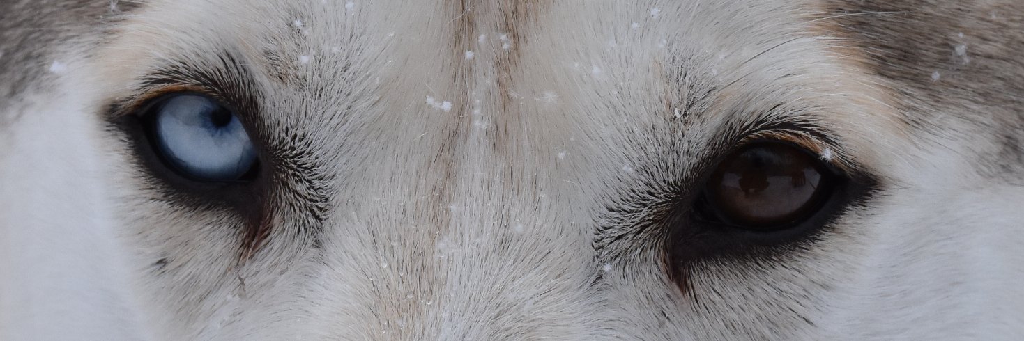 chems227's profile banner image