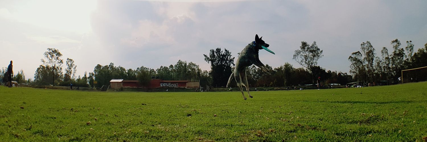 Roberto Launizar banner
