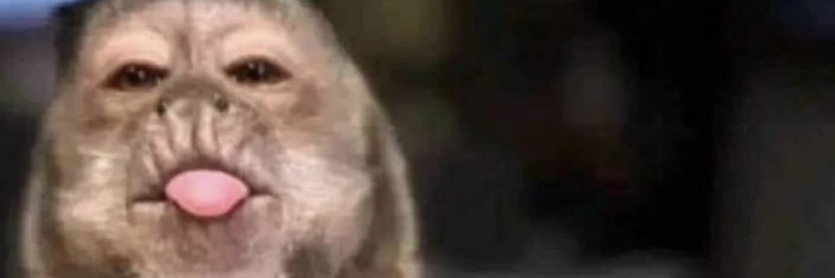 _yeeennnttt's profile banner image