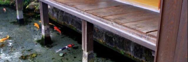 deep_fish___'s profile banner image