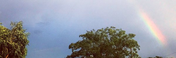 SusanStabile1 Profile Banner