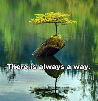 M_Pitso's profile banner image