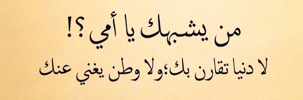 💚✨ 𝕻𝖗𝖎𝖓𝖈𝖊 ✨💚 banner