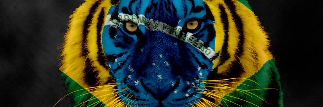 ✨Life 🍃❤ SDV 💫 banner