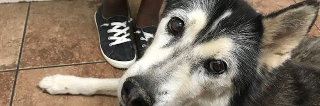 DebJanewayBLM✊🏾✊🏿✊🏽✊🏻 banner