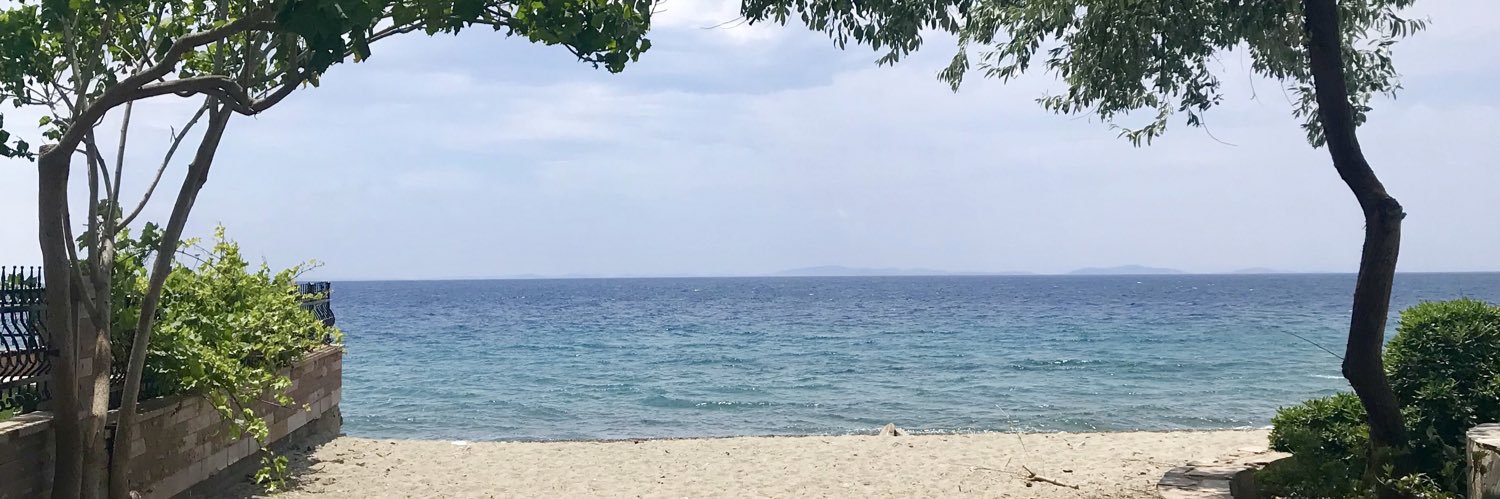 Leyliyye's profile banner image