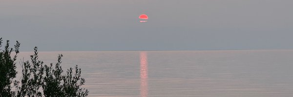 RenuZ Profile Banner