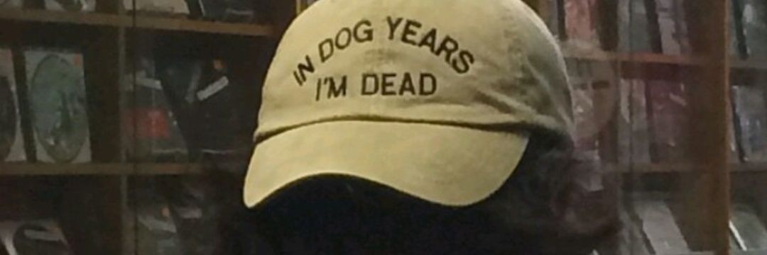 🧊🎎🌌🍄🪴 banner