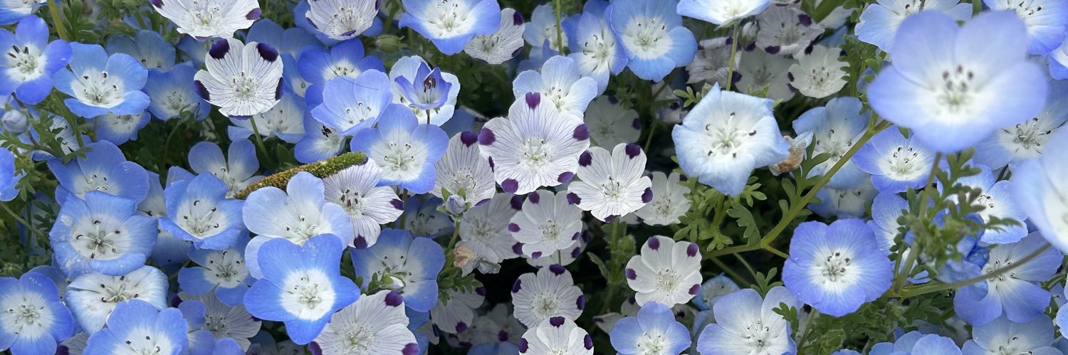 happy_happy_AI's profile banner image