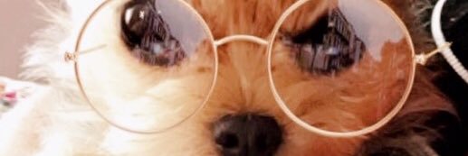 xoashleyoh's profile banner image