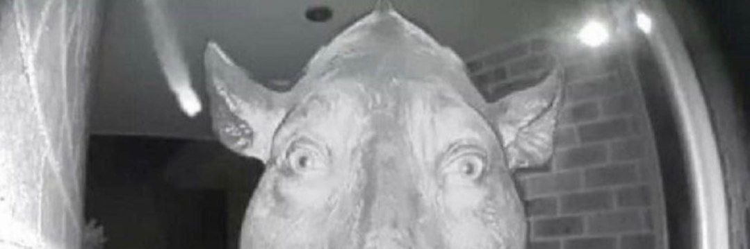 d_neket's profile banner image