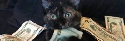 Fred_Kimani2020's profile banner image