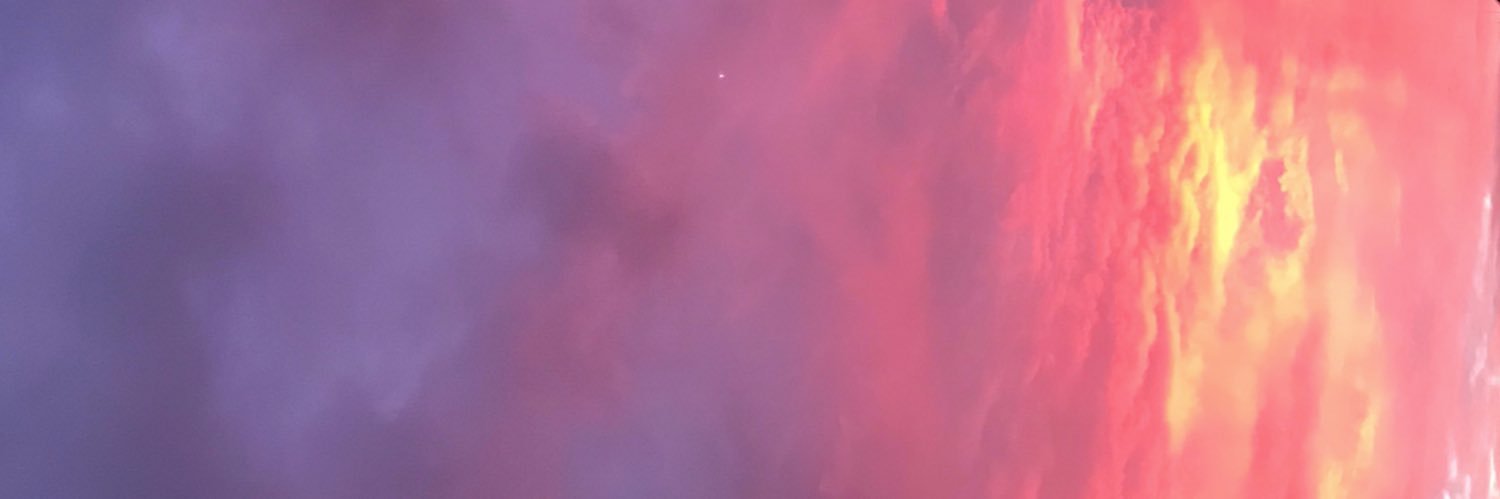 bilgebigos's profile banner image