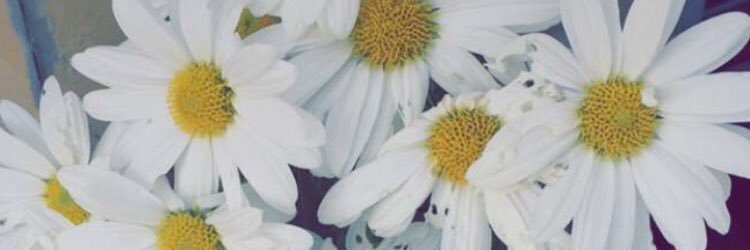 ediarmenta67's profile banner image