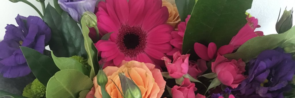 Dr Vicky Booth banner