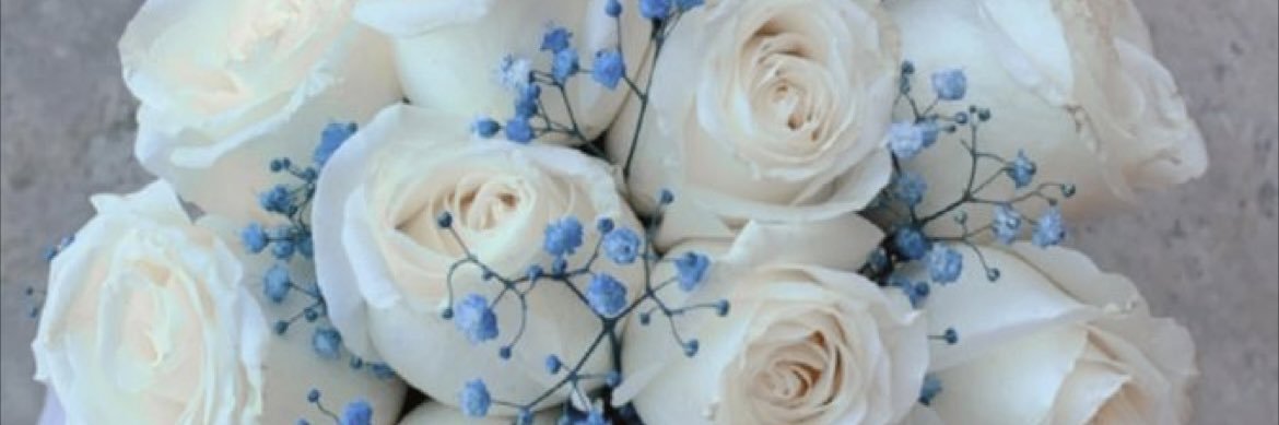 _Ravynb's profile banner image