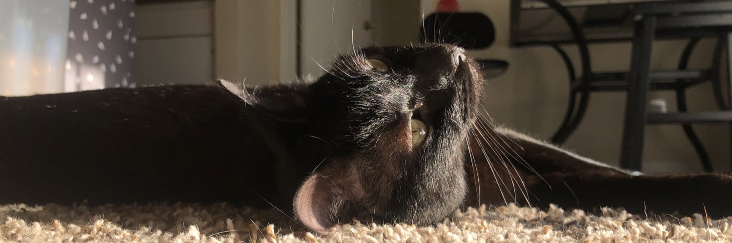 babsiiiies's profile banner image