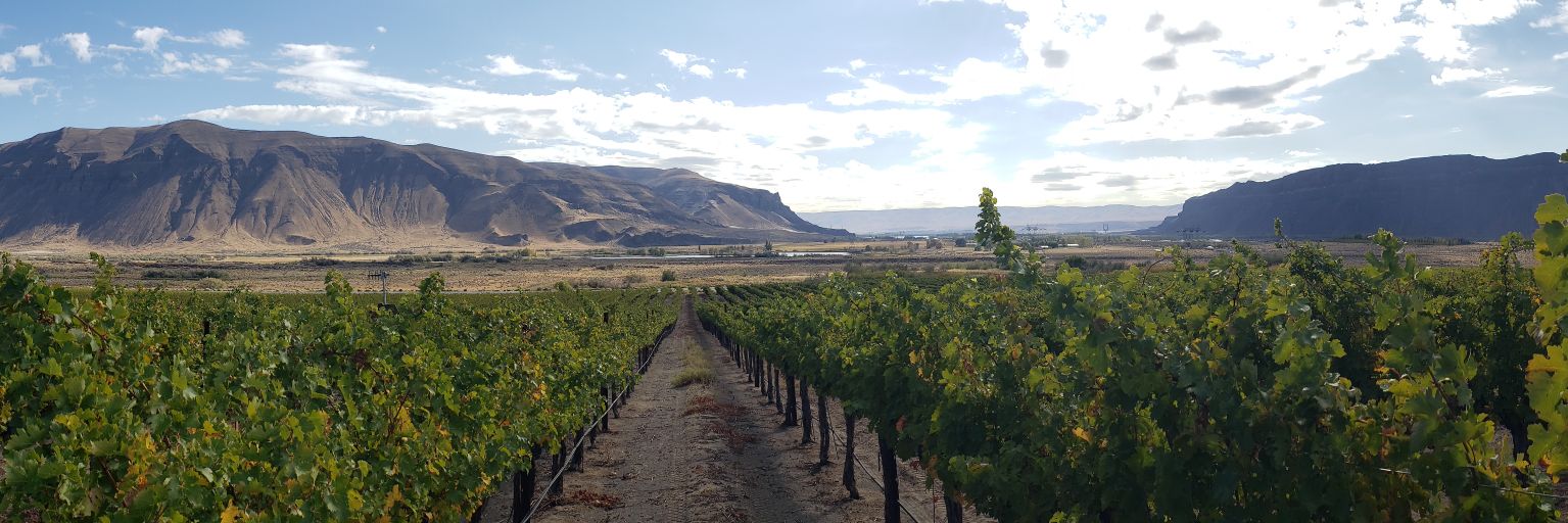 Devin Rippner, PhD banner