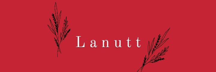 lanuttf's profile banner image