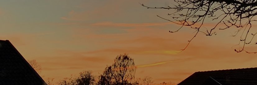 facedownmalum's profile banner image