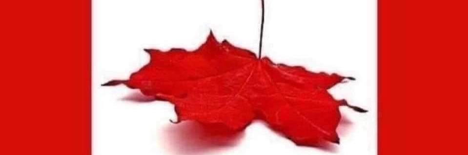 thisuserismad's profile banner image