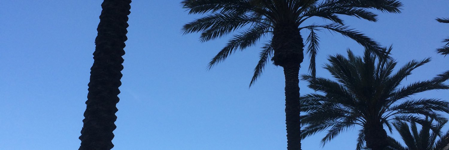 AndreaMutka's profile banner image