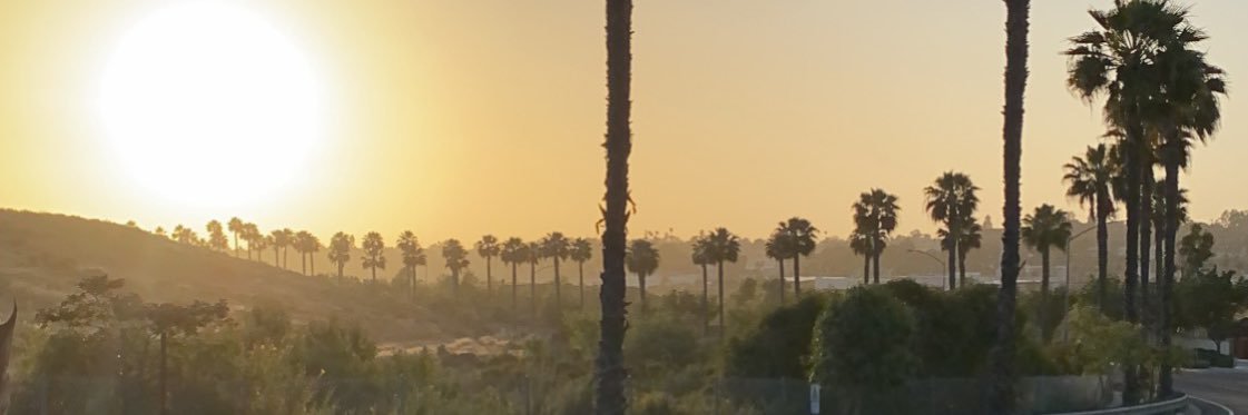 CaitEllingham's profile banner image