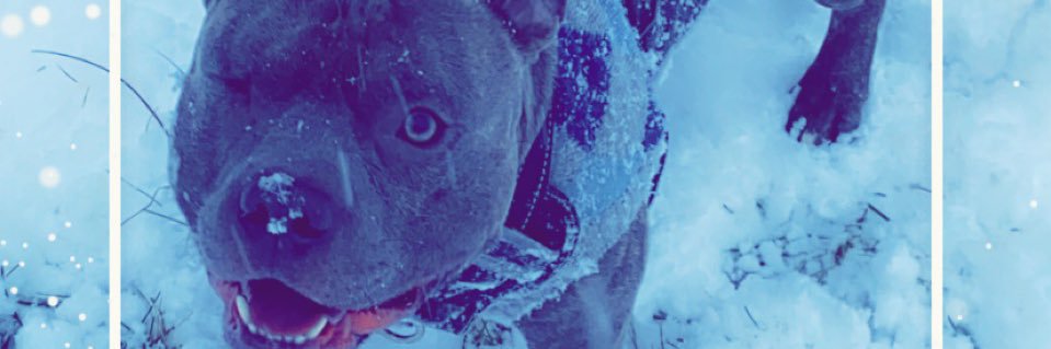 NoCareAlex's profile banner image