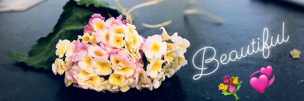 mariaaVee4's profile banner image