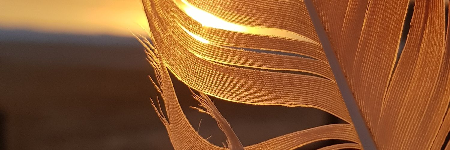 Adriana 💡 banner