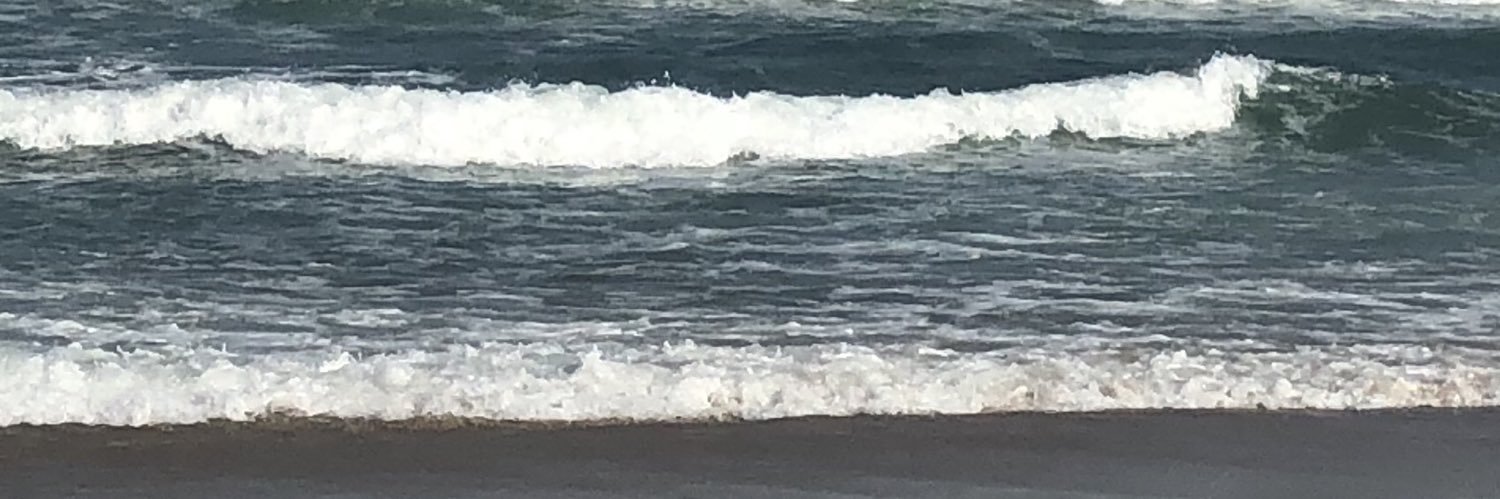 Jennifer Yanucil banner