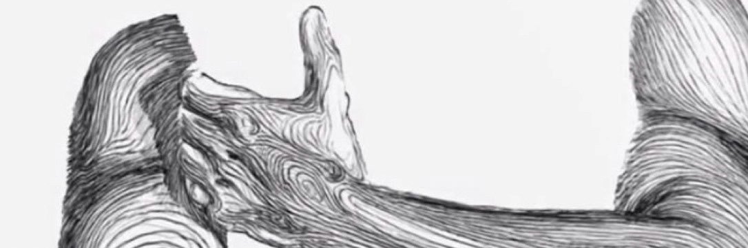 n_1982uo's profile banner image