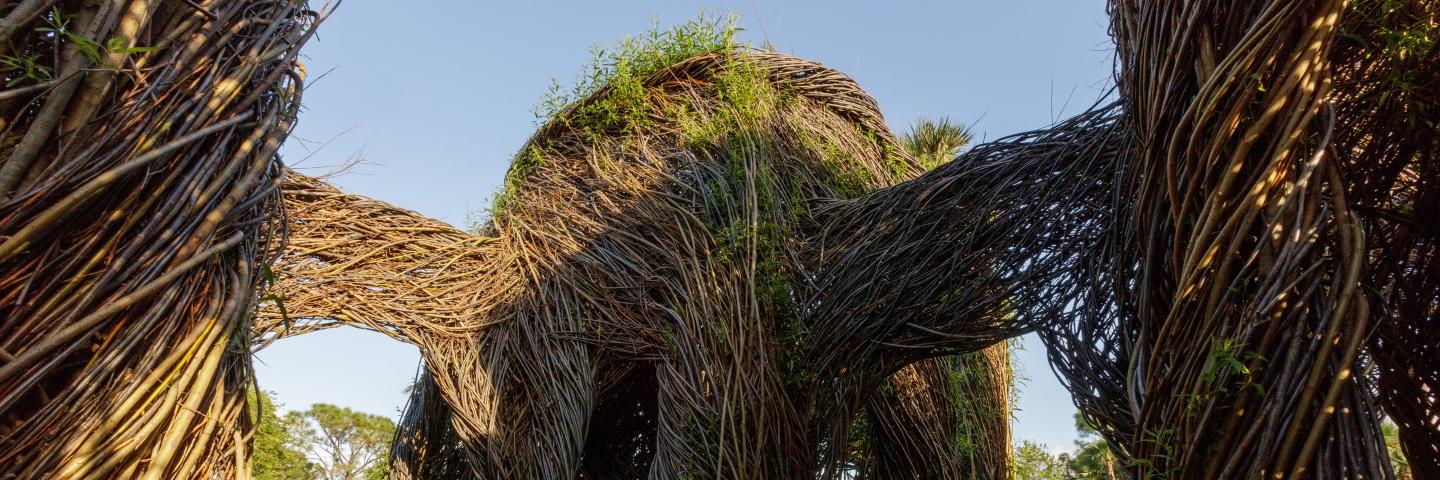Mounts Botanical Garden banner