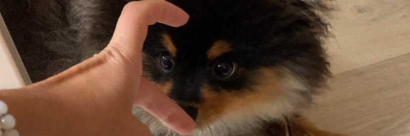 icicksou's profile banner image