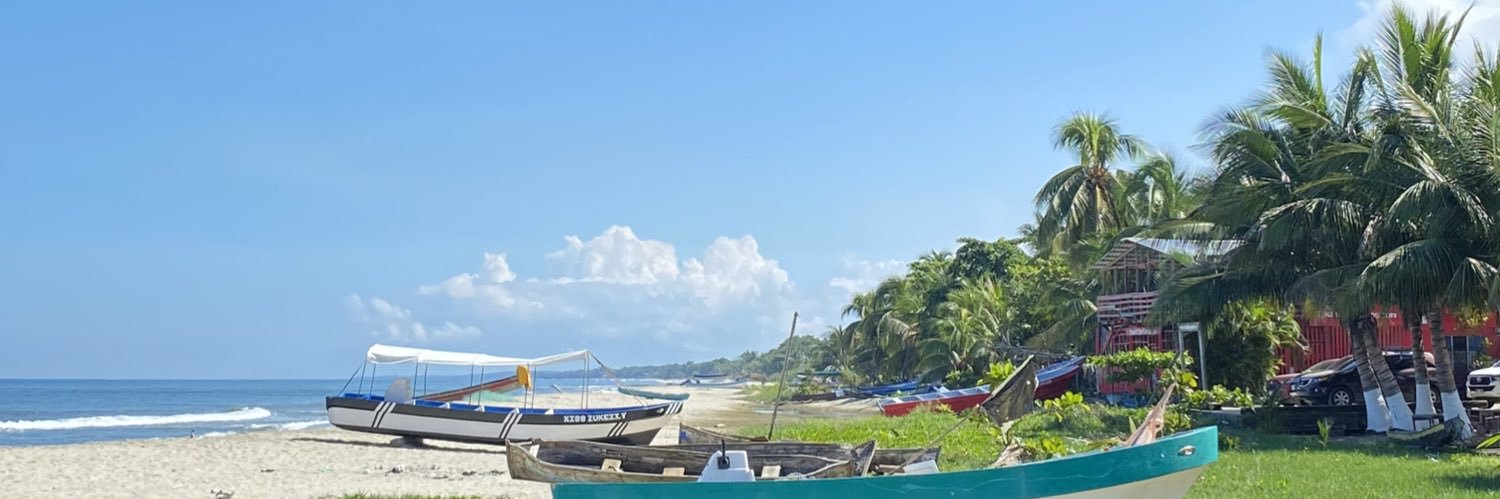 PinedaRodri1's profile banner image
